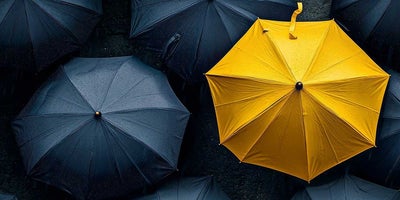 A guide on how to choose the best real estate agent in the Edmonton market. Do's and don't, questions to ask, so you don't make the wrong choice.