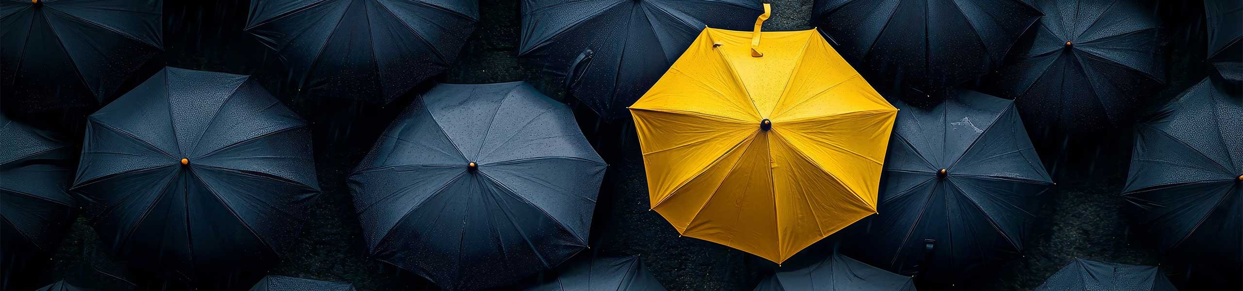 A guide on how to choose the best real estate agent in the Edmonton market. Do's and don't, questions to ask, so you don't make the wrong choice.